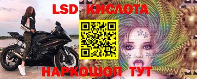 СК Краснознаменск