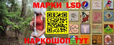 СК Краснознаменск