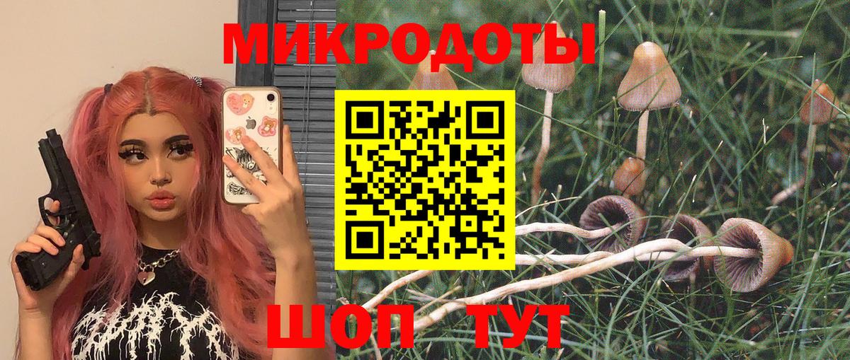 Галлюциногенные грибы Psilocybe  Псилоцибиновые грибы GOLDEN TEACHER  наркотики  Вход с VPN  Комсомольск-на-Амуре 