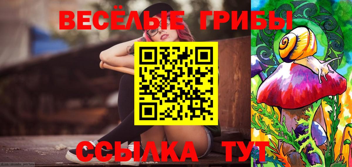 Галлюциногенные грибы мицелий Комсомольск-на-Амуре